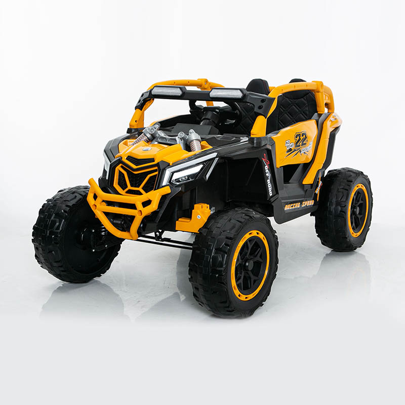 12V 2WD kinder-UTV met schommel en Bluetooth